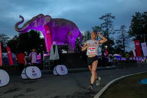 BIB: 
                            <button type="button" onclick="openModal(26529748)" class="btn btn-primary btn-sm float-right btn-popup" data-toggle="modal" data-target=".modal-high-quality">
                        <i class="fas fa-shopping-cart"></i> Add to Cart
                    </button>
                                            <button type="button" onclick="isThisMe(26529748, true)" class="btn btn-success btn-sm float-right btn-popup btn-isme hidden" data-toggle="tooltip" data-placement="bottom" title="นี่คือรูปของคุณใช่ไหม คลิกที่นี่เพื่อเอาเข้าอัลบั้ม">
                        <i class="fas fa-plus"></i> Add to album
                    </button>
                    <button type="button" onclick="isThisMe(26529748, false)" class="btn btn-warning btn-sm float-right btn-popup btn-isnotme hidden">
                        <i class="fas fa-ban"></i> Remove from album
                    </button>